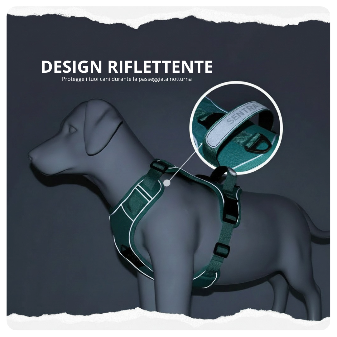 Kit Sentra Walk™ - sicurezza e tranquillità, ogni giorno