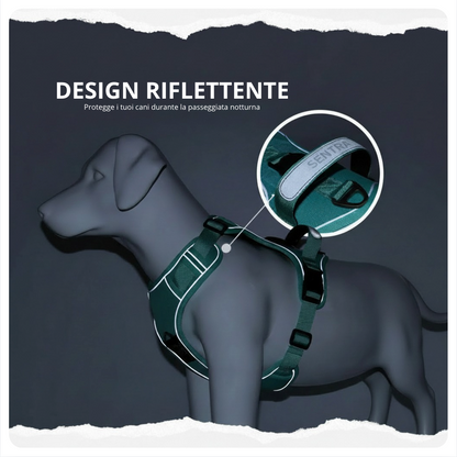 Kit Sentra Walk™ - sicurezza e tranquillità, ogni giorno