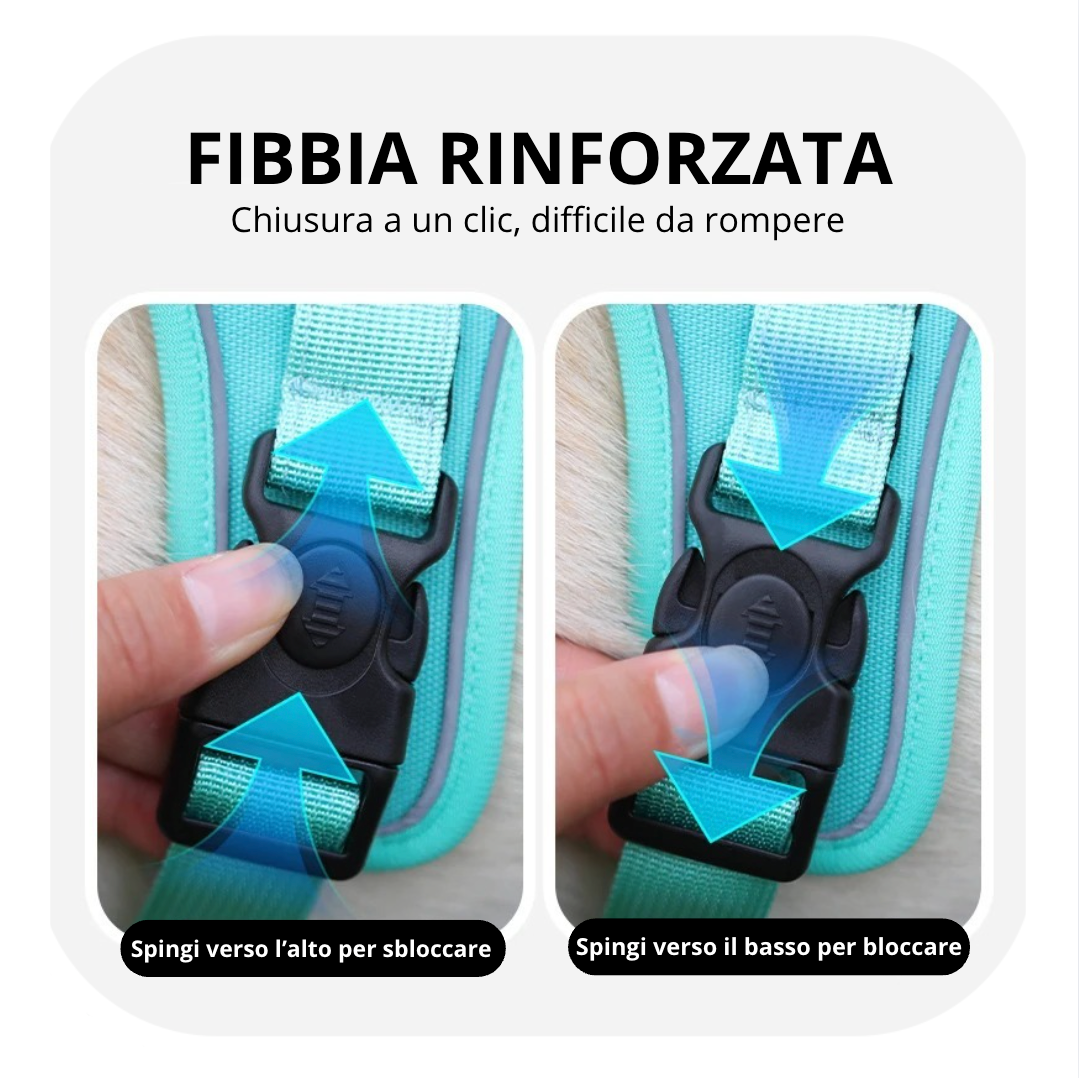 Kit Sentra Walk™ - sicurezza e tranquillità, ogni giorno