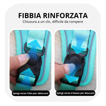 Kit Sentra Walk™ - sicurezza e tranquillità, ogni giorno