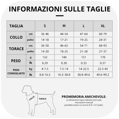 Kit Sentra Walk™ - sicurezza e tranquillità, ogni giorno